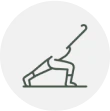 Strengthens Immune Health