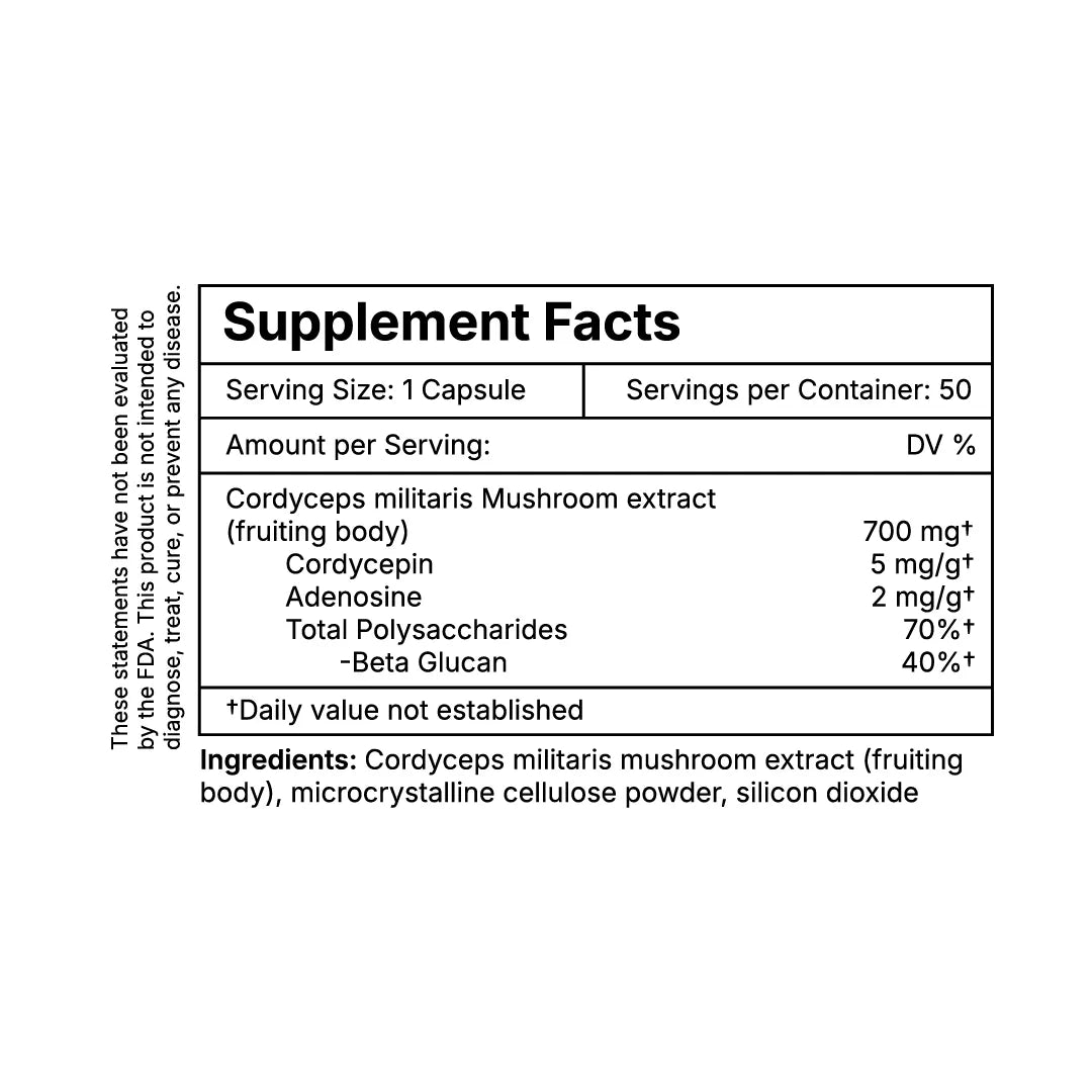 Cordyceps Capsules - Cordyceps Militaris