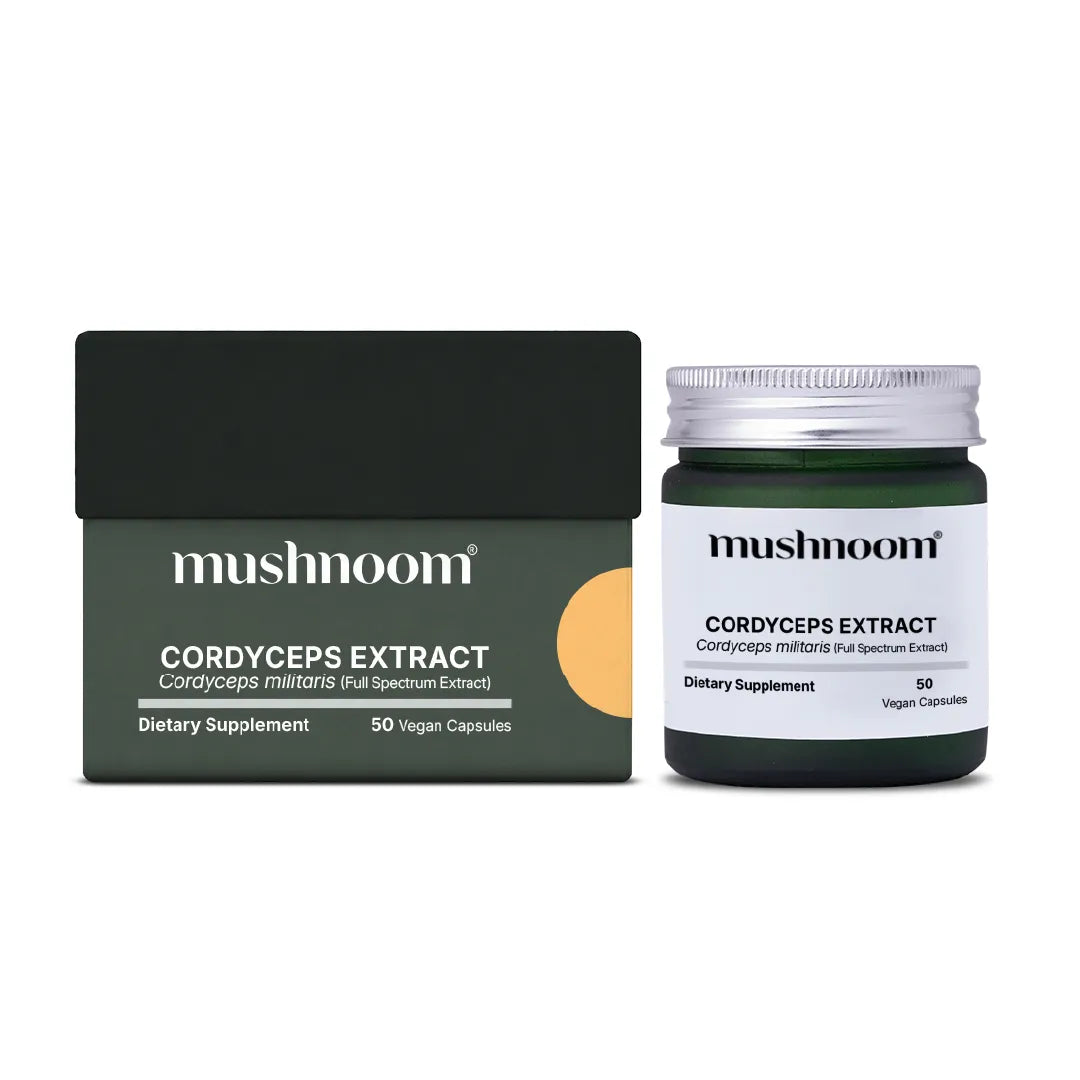 Cordyceps Capsules - Cordyceps Militaris