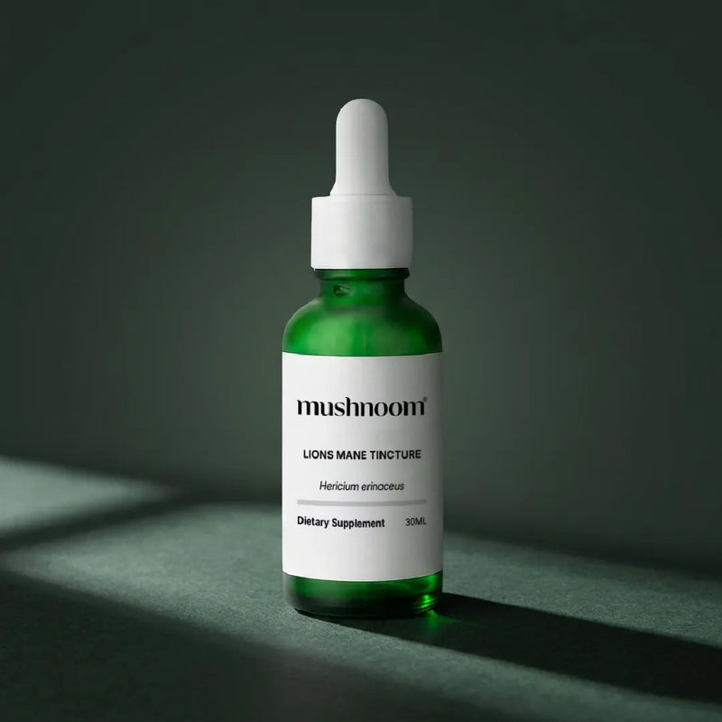Lion's Mane Liquid Tincture — Hericium Erinaceus