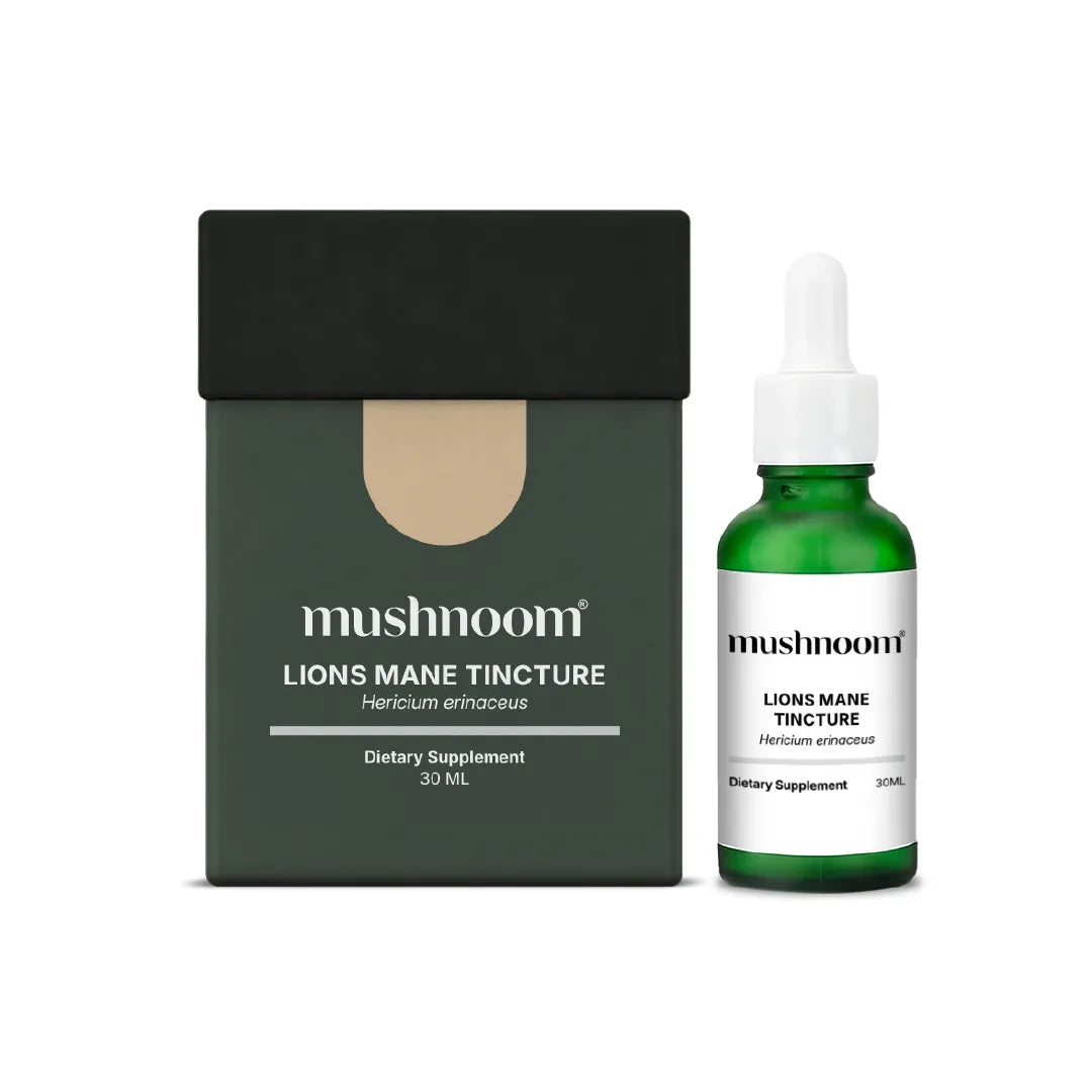 Lion's Mane Liquid Tincture — Hericium Erinaceus