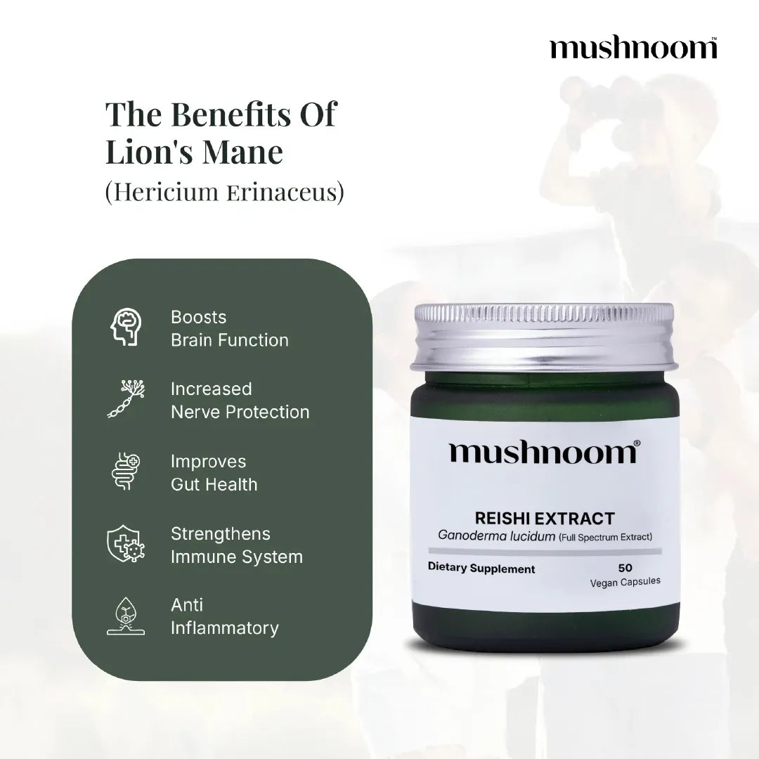 Red Reishi Capsules - Ganoderma Lucidum
