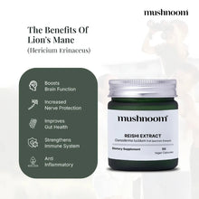Red Reishi Capsules - Ganoderma Lucidum