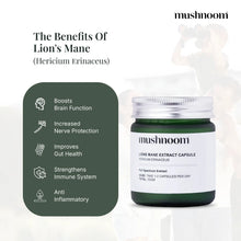 Lions Mane Capsules