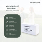 Lions Mane Powdered Extract
