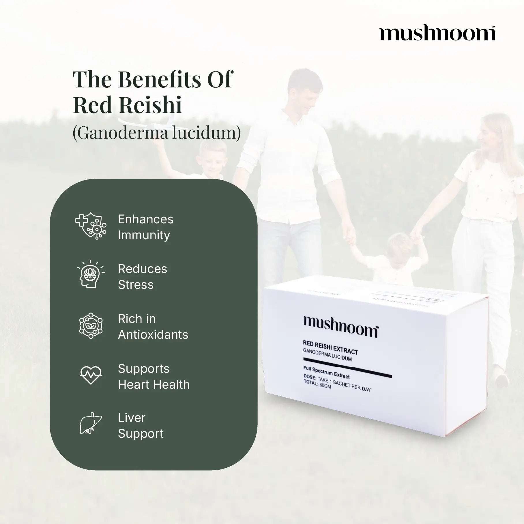 Red Reishi Powdered Extract