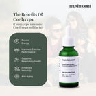 Cordyceps Liquid Extract