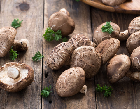 Discover the Incredible Benefits of Mushroom Extracts for a Healthier Life