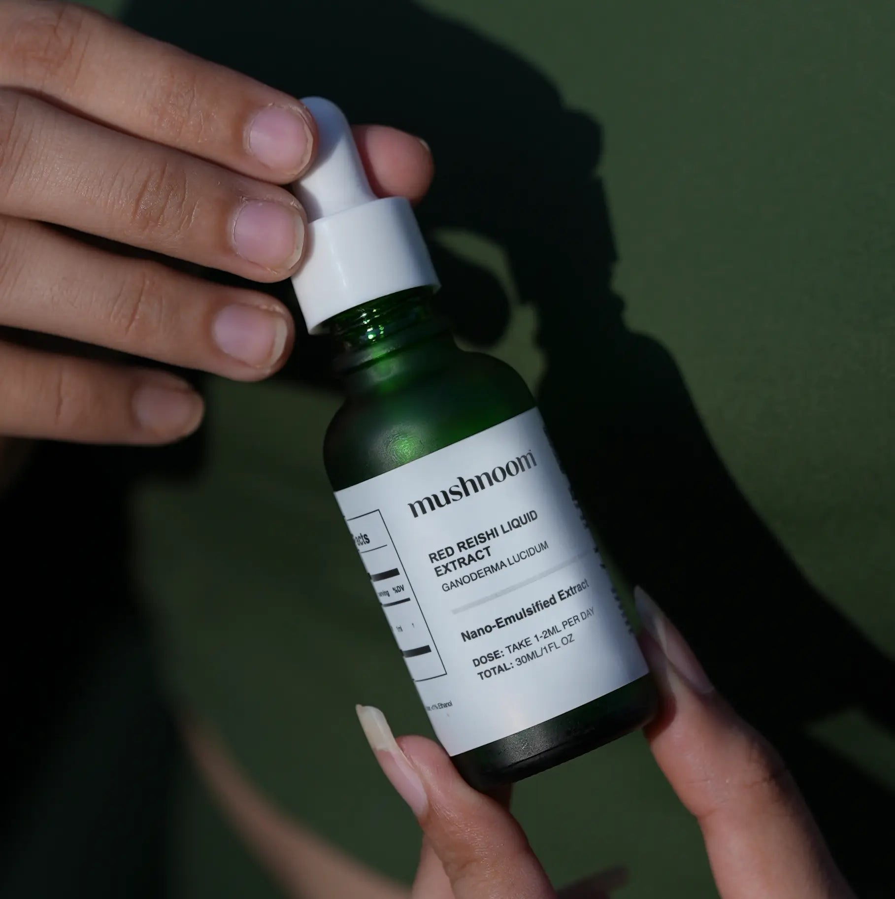 Red Reishi Liquid Extract